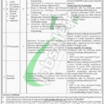 Public Private Partnership KPK Jobs