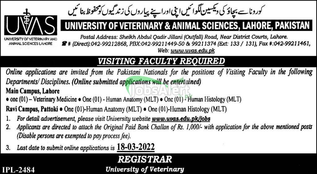 UVAS Jobs 2022 For Visiting Faculty in Lahore & Pattoki Campuses