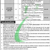 Office of the Commissioner Peshawar Jobs 2019