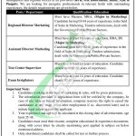 Invigilator Jobs