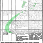 Punjab Education Initiative Management Authority Jobs