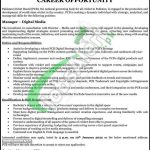 Pakistan Cricket Board Jobs