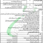 Directorate of Public Instructions (Secondary Education) Lahore Jobs 2019