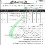 NIM Karachi Jobs 2019