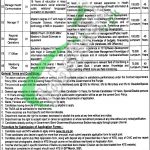 Healthcare Department Punjab Jobs