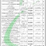 PPHI Jobs