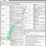 SHCC Jobs