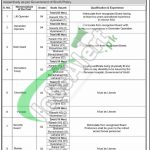 Sindh Building Control Authority Jobs
