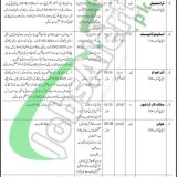 Council of Islamic Ideology Pakistan Jobs