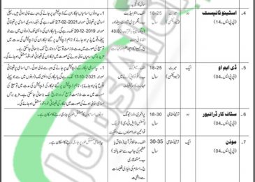 Council of Islamic Ideology Pakistan Jobs