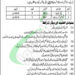 Food Department Punjab Jobs