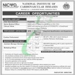 NICVD Jobs