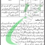 Sindh Service Tribunal Jobs