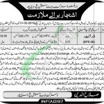 District and Session Court Haripur Jobs 2018