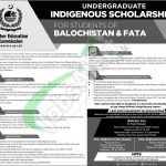 HEC Undergraduate Scholarships