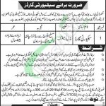 Sukkur IBA Jobs