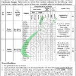 DPS Sahiwal Jobs