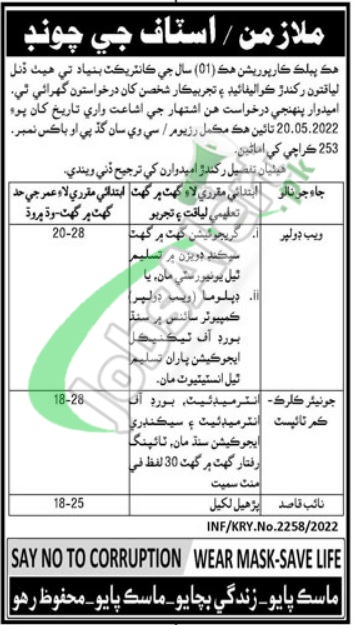 PO Box 253 Karachi Jobs