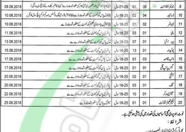 Nishtar Medical University Multan Jobs 2018