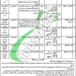 Session Court Mianwali Jobs