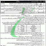 Session Court Khushab Jobs 2019