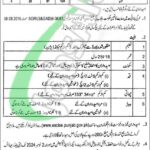 Excise and Taxation Punjab Jobs