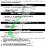 PMBMC Jobs 2019