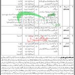 Directorate of Archives & Libraries KPK Jobs