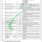 Sindh Judicial Academy Jobs