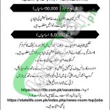 State Life Jobs 2019