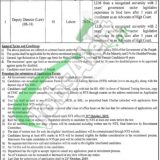 Punjab Food Authority Jobs 2019