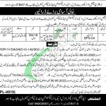 Excise Taxation and Narcotics Control Department Punjab Jobs