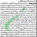 Civil Court Mandi Bahauddin Jobs