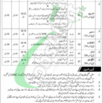 Council of Islamic Ideology Jobs