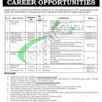 Ministry of Privatization Jobs