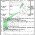 KPK Service Tribunal Peshawar Jobs