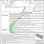 CTD Punjab Jobs