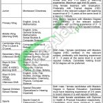 Bahria College Karsaz Jobs