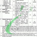 Punjab Sports Board Jobs