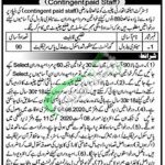 District Health Authority Chiniot Jobs 