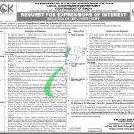 Local Government Sindh Jobs