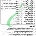 District Health Authority Bahawalnagar Jobs