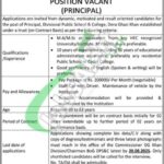 Divisional Public School & College DG Khan Jobs