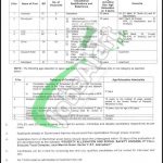 Poverty Alleviation & Social Safety Division Jobs