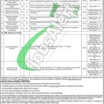 WAPDA Jobs