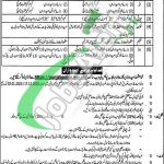 www.punjabpolice.gov.pk
