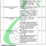 Mian Munshi DHQ Teaching Hospital Lahore Jobs