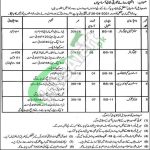 Advocate General Punjab Jobs