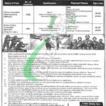 SSU Sindh Police Jobs