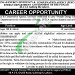 Punjab Energy Efficiency and Conservation Agency Jobs